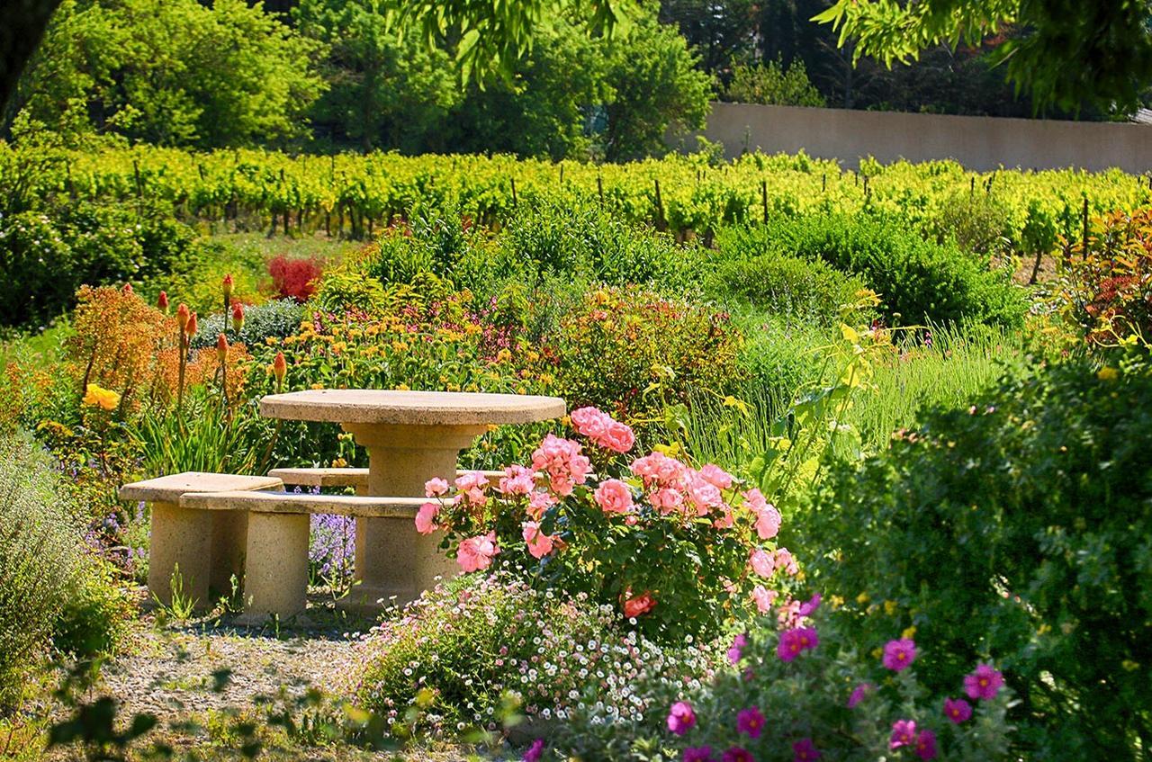 O'Vineyards B&B Carcassonne Villemoustaussou Exterior photo