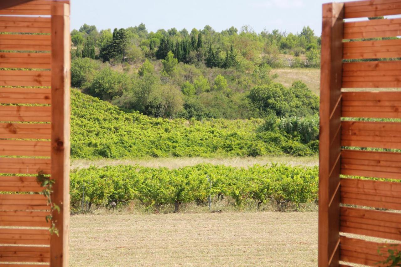 O'Vineyards B&B Carcassonne Villemoustaussou Exterior photo